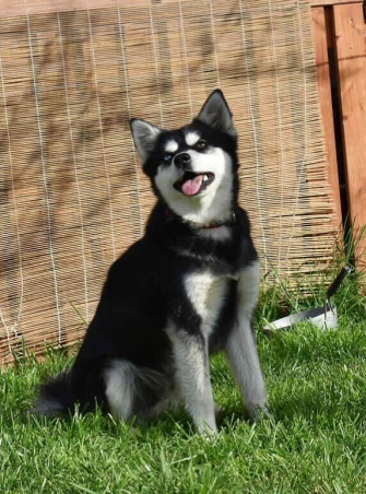 Luna